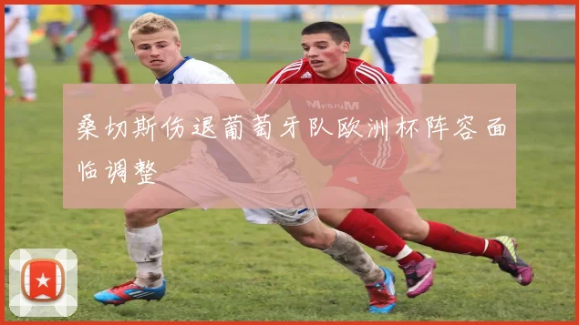 桑切斯伤退葡萄牙队欧洲杯阵容面临调整